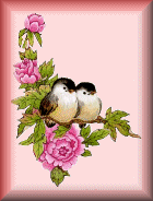 pajaros para post.gif